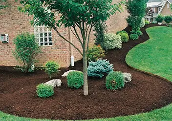 Landscape Maintenance, Pasadena, MD