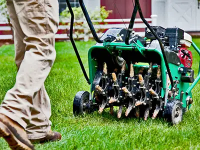 Core aeration, Pasadena, MD