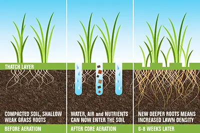 Core aeration, Pasadena, MD