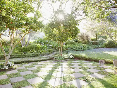 Lawn Fertilization, Pasadena, MD