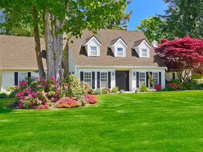 Lawn Care, Pasadena, MD