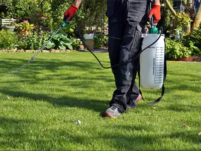 Lawn Care, Ann Arundel, MD