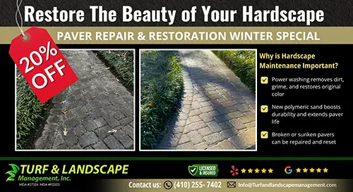 Promotions, Pasadena, MD